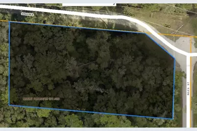 31699 Niles Street, Mount Plymouth, FL 32776 - Photo 1