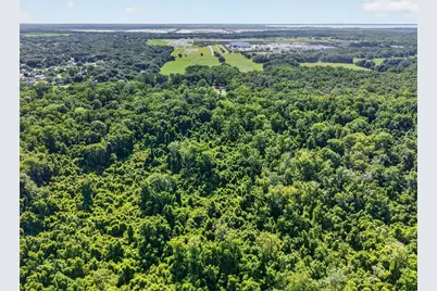 24301 Jefferson St, Astatula, FL 34705 - Photo 7