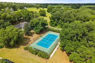 24023 Weldon Dr, Eustis, FL 32736 - Photo 51
