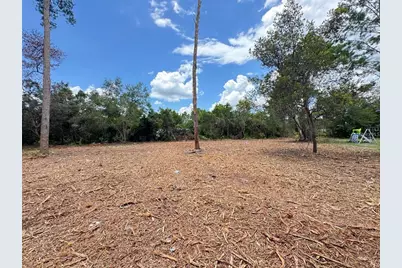 W Pine Street, Paisley, FL 32767 - Photo 5