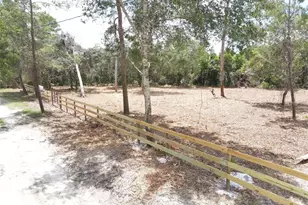 W Pine St, Paisley, FL 32767 - Photo 1