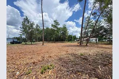 W Pine Street, Paisley, FL 32767 - Photo 7