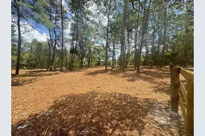 E Pine Street, Paisley, FL 32767 - Photo 3