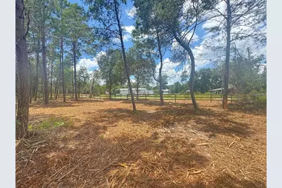 E Pine Street, Paisley, FL 32767 - Photo 1