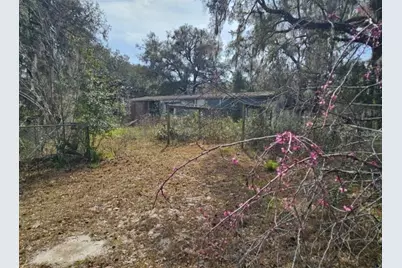 4210 NE 175th Street Road, Citra, FL 32113 - Photo 5