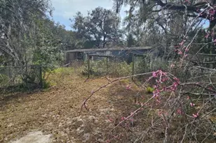 4210 NE 175th Street Rd, Citra, FL 32113 - Photo 5