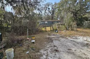 4210 NE 175th Street Rd, Citra, FL 32113 - Photo 3