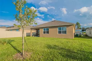 4885 Panga Ave, Mount Dora, FL 32757 - Photo 19