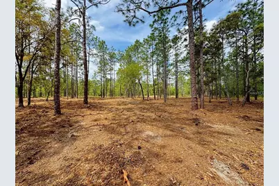 Sw Deerpark Heights Road, Dunnellon, FL 34431 - Photo 7