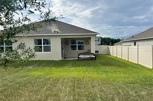 5240 Greenheart Ave, Mount Dora, FL 32757 - Photo 21