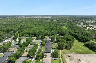 2243 Wolf Ridge Ln, Mount Dora, FL 32757 - Photo 57
