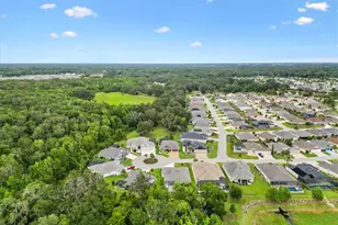 3249 Zipperer Wy, The Villages, FL 32163 - Photo 47