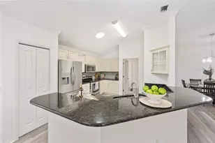 3195 Mansfield St, The Villages, FL 32162 - Photo 19