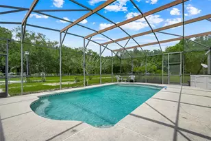 21301 Quail Hammock Ln, Groveland, FL 34736 - Photo 3