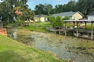 919 Cr 482D, Lake Panasoffkee, FL 33538 - Photo 37