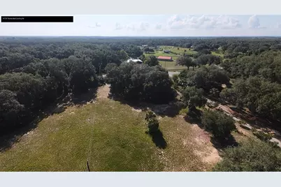 41739 Thomas Boat Landing Road, Umatilla, FL 32784 - Photo 5