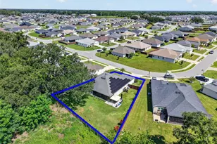 11387 Zimmerman Path, Oxford, FL 34484 - Photo 3