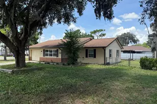 1244 Co Rd 437, Lake Panasoffkee, FL 33538 - Photo 3