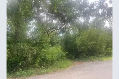 Ne 32nd Street, Silver Springs, FL 34488 - Photo 3