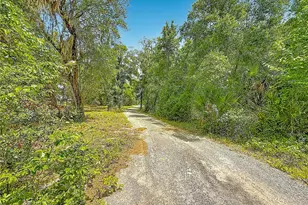 44524 Cross Country Blvd, Altoona, FL 32702 - Photo 57