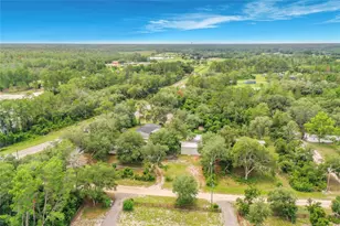 31032 Rory Ln, Eustis, FL 32736 - Photo 45