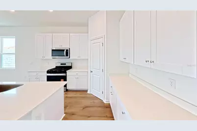 6217 Sanders Grove Circle, Okahumpka, FL 34762 - Photo 3