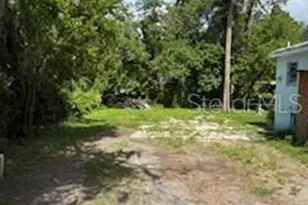 8310 N Hillsborough Ln, Tampa, FL 33604 - Photo 7