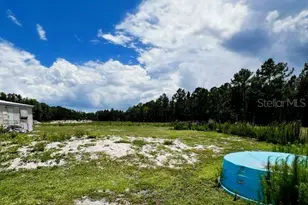 5345 S Fork Ranch Dr, Clermont, FL 34714 - Photo 19