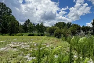 5345 S Fork Ranch Dr, Clermont, FL 34714 - Photo 9