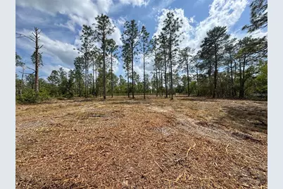 Sw Edgewater Boulevard, Dunnellon, FL 34431 - Photo 5