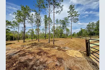 Sw Edgewater Boulevard, Dunnellon, FL 34431 - Photo 7