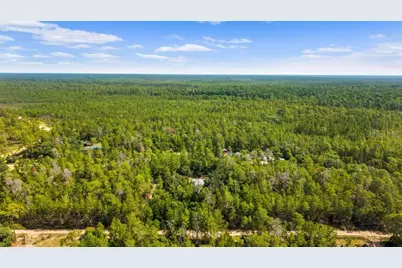 24607 Polar Bear Road, Paisley, FL 32767 - Photo 51