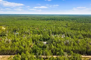 24607 Polar Bear Rd, Paisley, FL 32767 - Photo 51