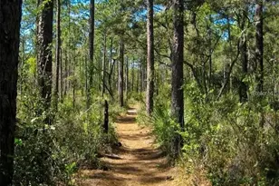 24607 Polar Bear Rd, Paisley, FL 32767 - Photo 49