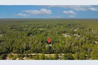 24607 Polar Bear Road, Paisley, FL 32767 - Photo 5