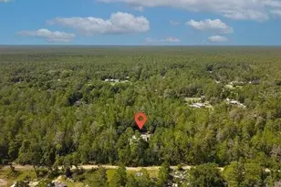 24607 Polar Bear Rd, Paisley, FL 32767 - Photo 5