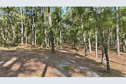 5230 S Robert Blake Avenue, Inverness, FL 34452 - Photo 9