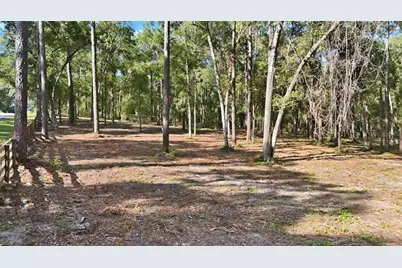 5230 S Robert Blake Avenue, Inverness, FL 34452 - Photo 7