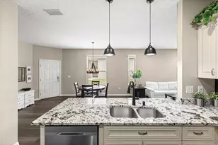 27001 White Plains Way, Leesburg, FL 34748 - Photo 7