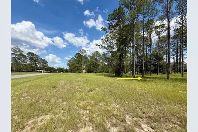 35135 Pinegate Trail, Eustis, FL 32736 - Photo 21