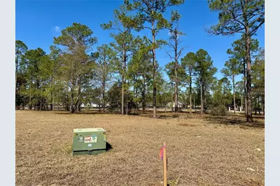 35135 Pinegate Trail, Eustis, FL 32736 - Photo 19