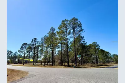 35135 Pinegate Trail, Eustis, FL 32736 - Photo 13