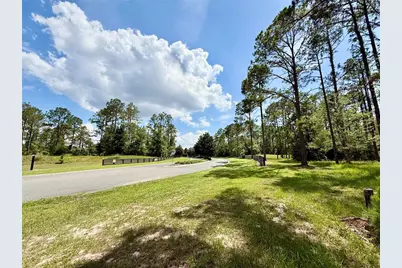 35135 Pinegate Trail, Eustis, FL 32736 - Photo 25
