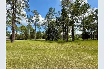 35135 Pinegate Trail, Eustis, FL 32736 - Photo 9