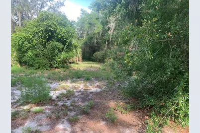 3113 Bright Lake Circle, Groveland, FL 34736 - Photo 5