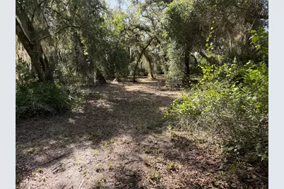 3113 Bright Lake Circle, Groveland, FL 34736 - Photo 7