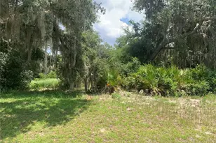 3113 Bright Lake Cir, Groveland, FL 34736 - Photo 1