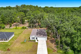 50 Bay Rd, Ocklawaha, FL 32179 - Photo 11