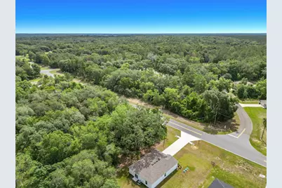 50 Bay Road, Ocklawaha, FL 32179 - Photo 51