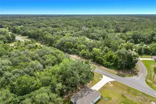 50 Bay Rd, Ocklawaha, FL 32179 - Photo 51